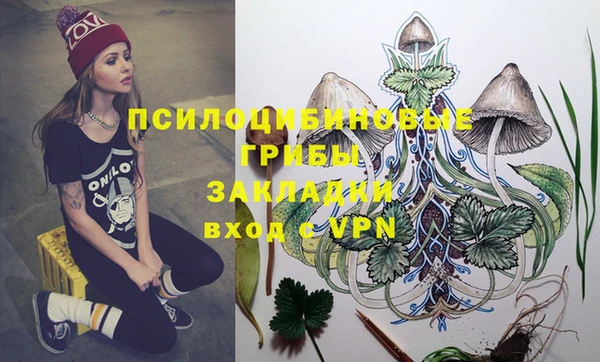 хмурый Липки