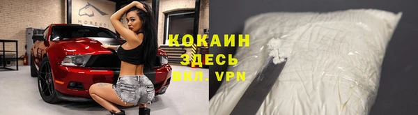 хмурый Липки